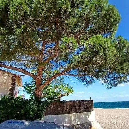 Avec Piscine - 3 Pers., A 150m - Fr-1-776-158 * Argelès-sur-Mer
